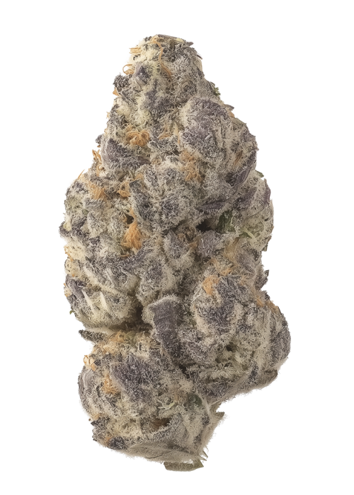 Purple Poison