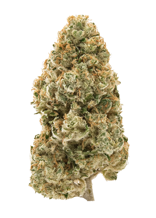 Tahoe Hydro OG