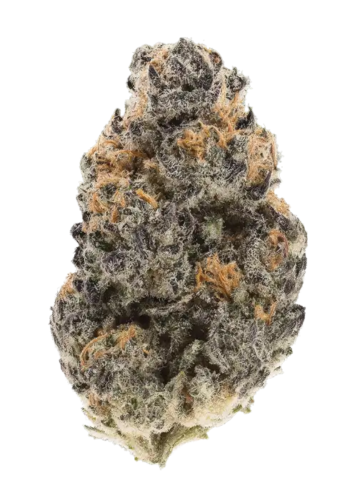 Truffle Sundae