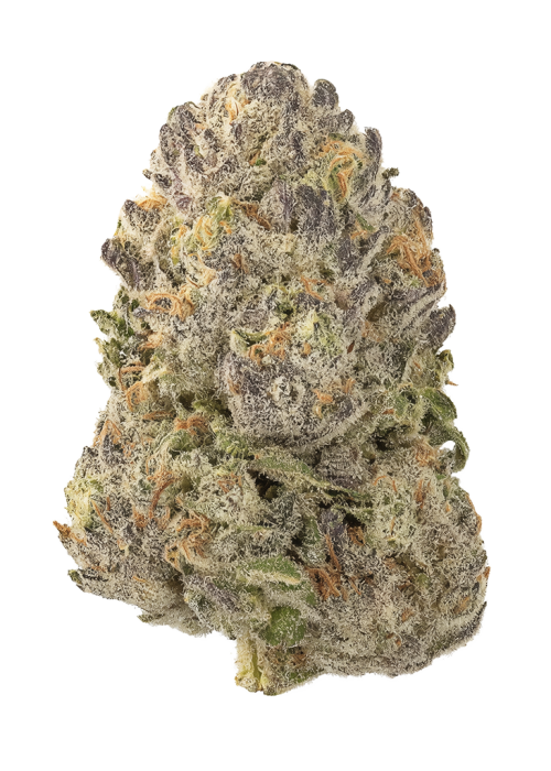 Black Licorice