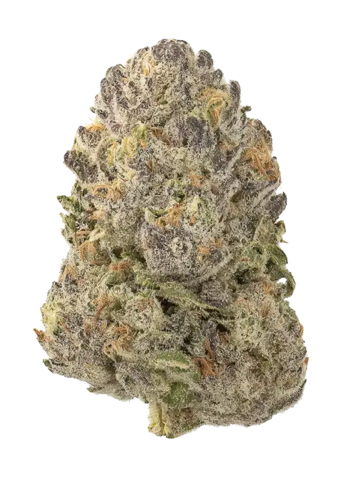 Black Licorice