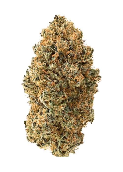 Critical Cure