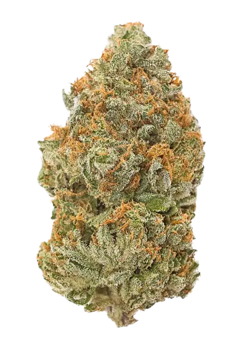 Lemon OZ