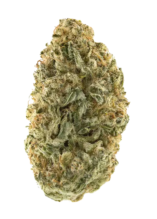 Critical