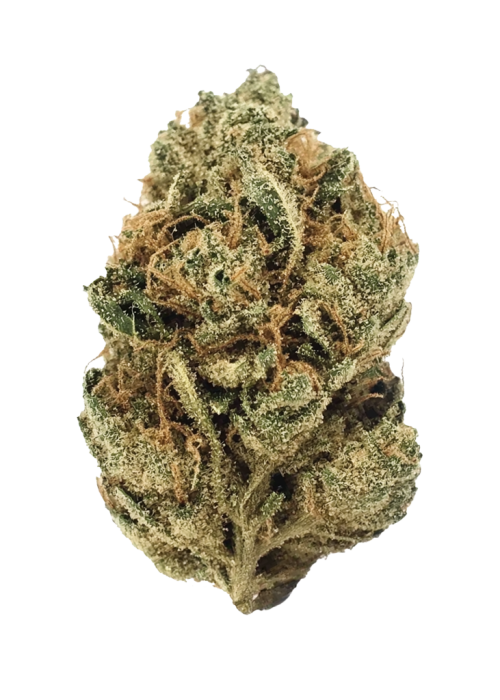 Dutch Treat