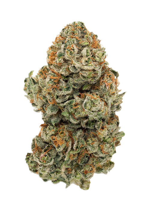 Copper Chem