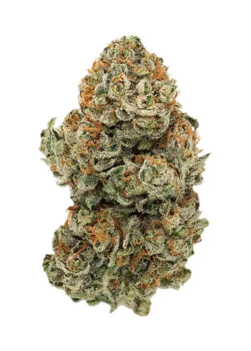 Copper Chem