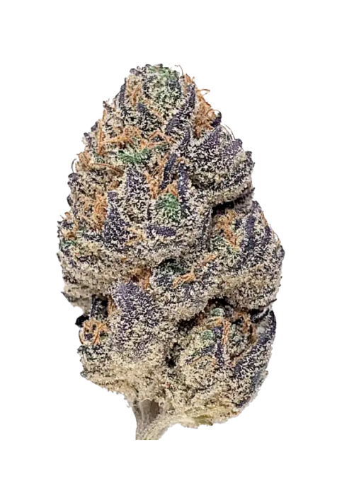 Acai Berry Gelato