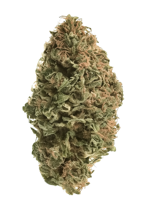 Lemon Kush Headband