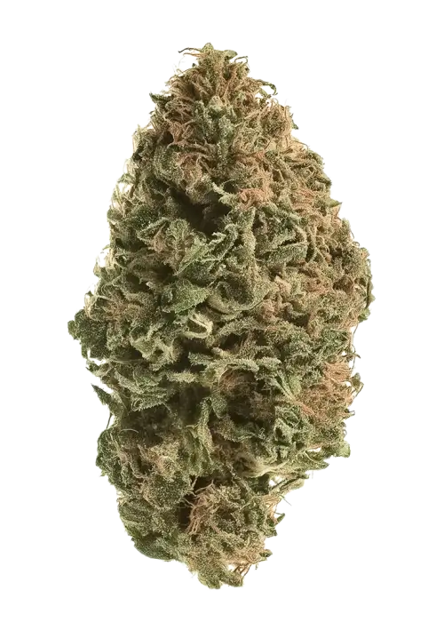 Lemon Kush Headband