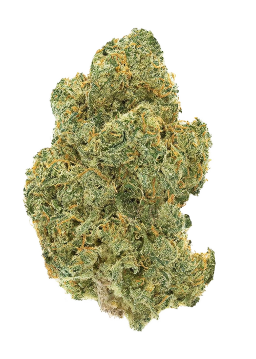 Orange Velvet Underground RBX