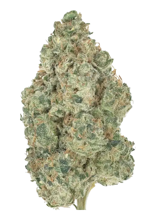 Aloha Limone