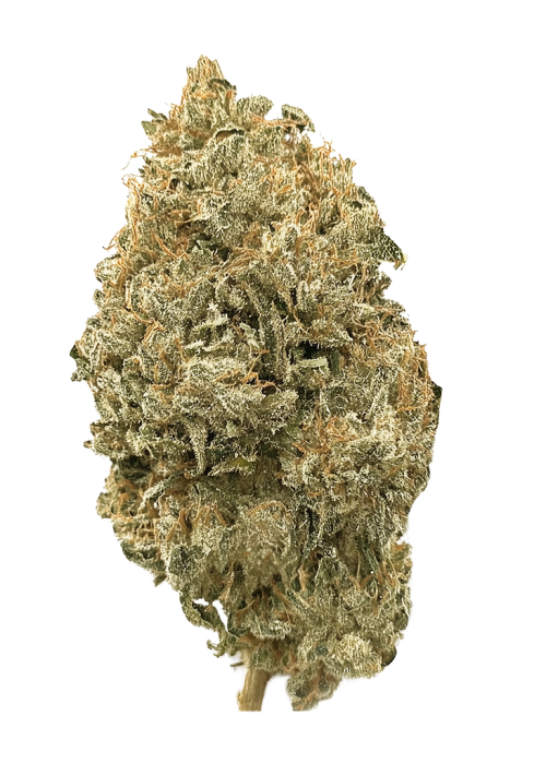 Blueberry Shortcake