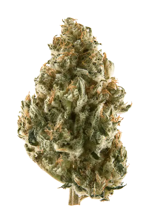 Rickey Sticky