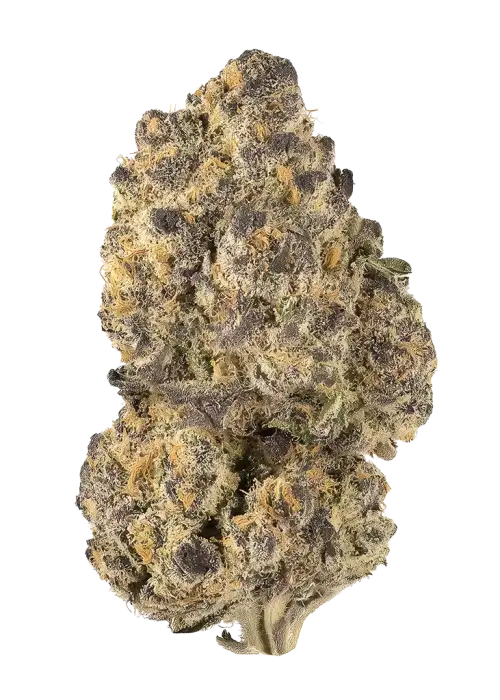 Strawberry Champagne