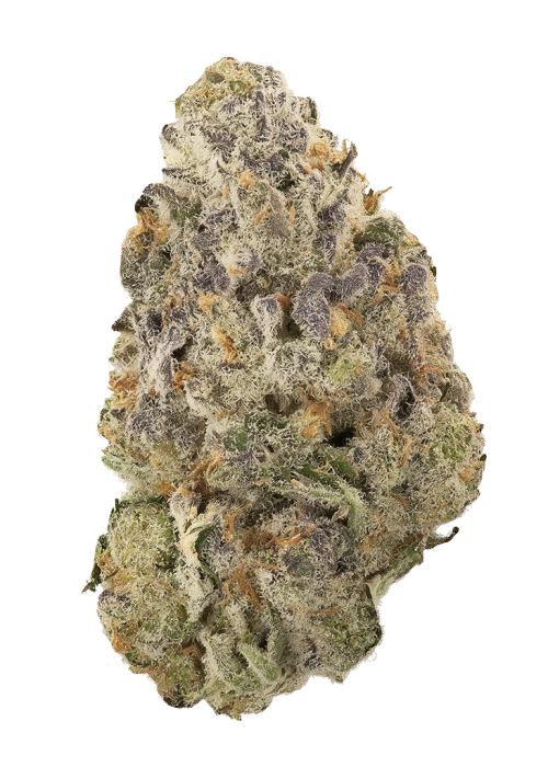 Dosi Pie