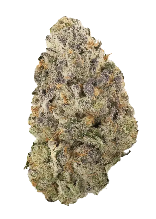 Dosi Pie