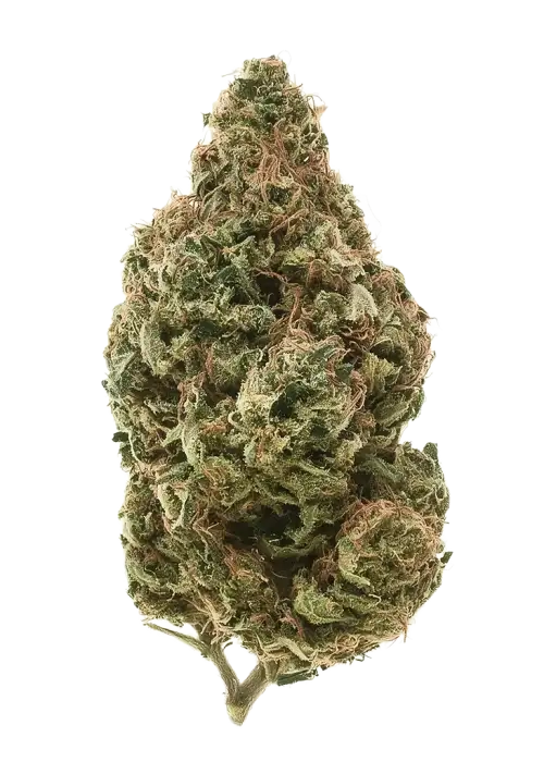 Monster Glue