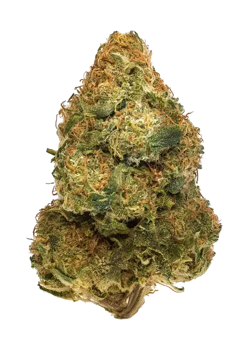 Cherry Cobbler