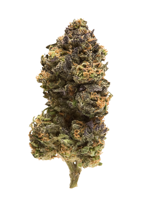 Skunk Ape