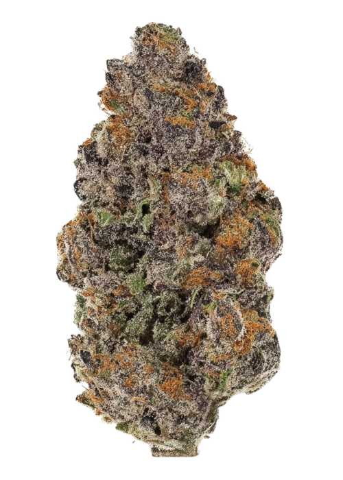 501st OG