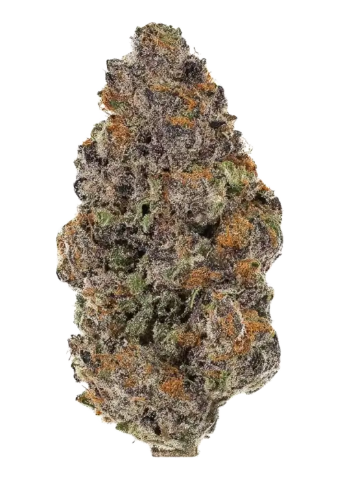501st OG