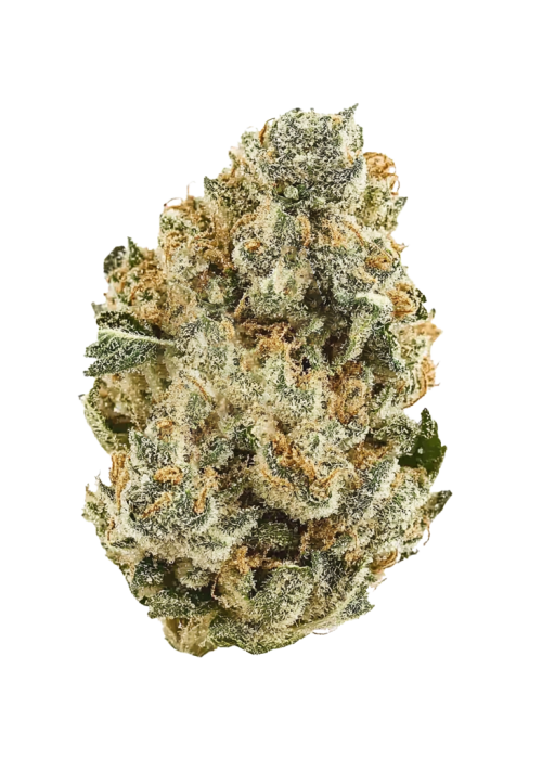 Strawberry Guava