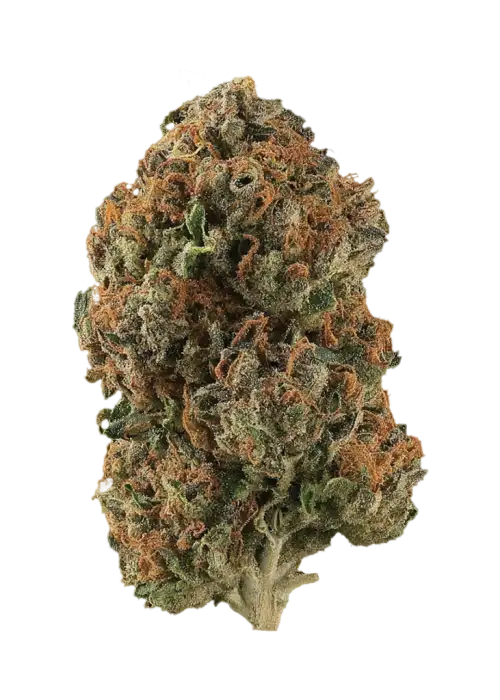 Gasoline Dream Auto
