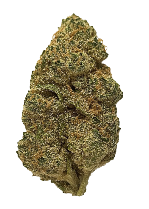Aloha Express