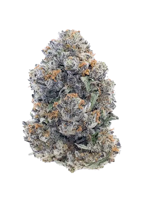 Blue Sherbert
