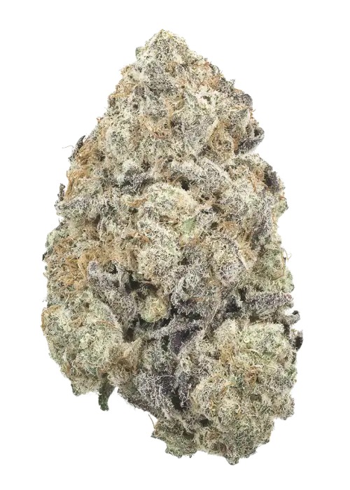 Creme De Menthe