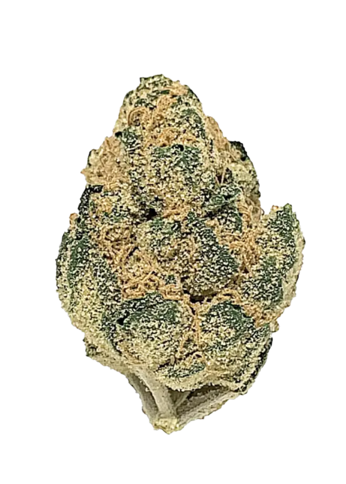 Critical Mass