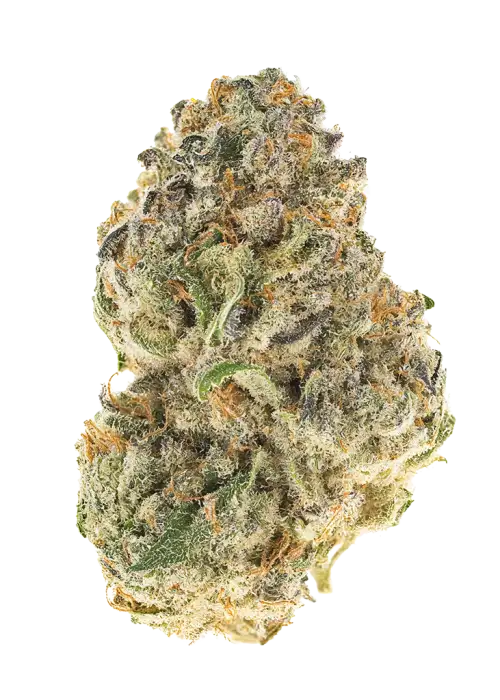 Grape Limeade