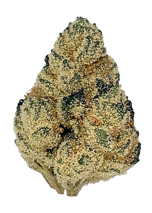 StarBud