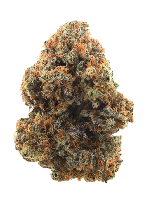 Cannalope Haze