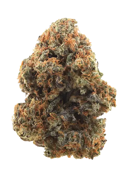 Cannalope Haze