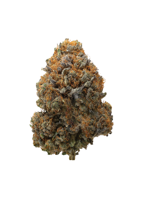 Cannalope Haze