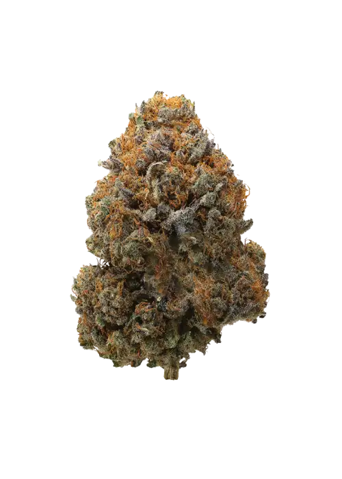 Cannalope Haze
