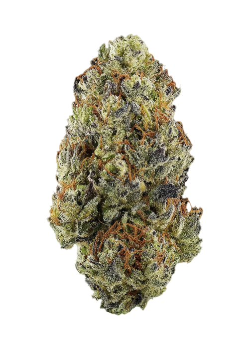Blue Lime Pie