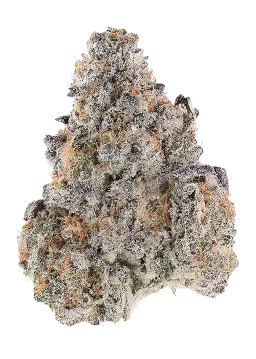 Dosidos