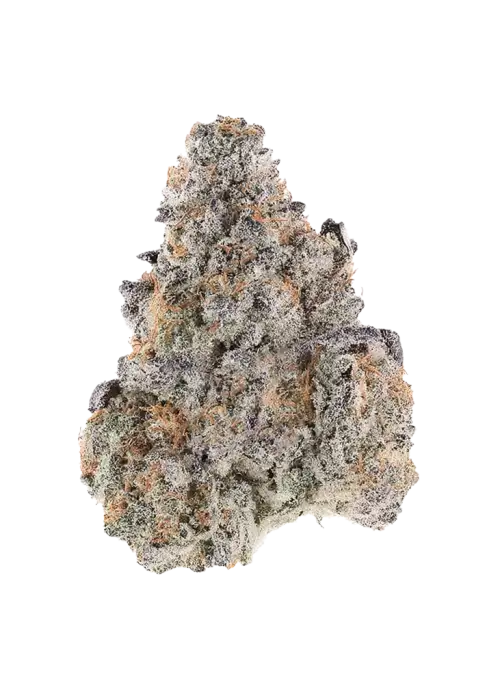 Dosidos