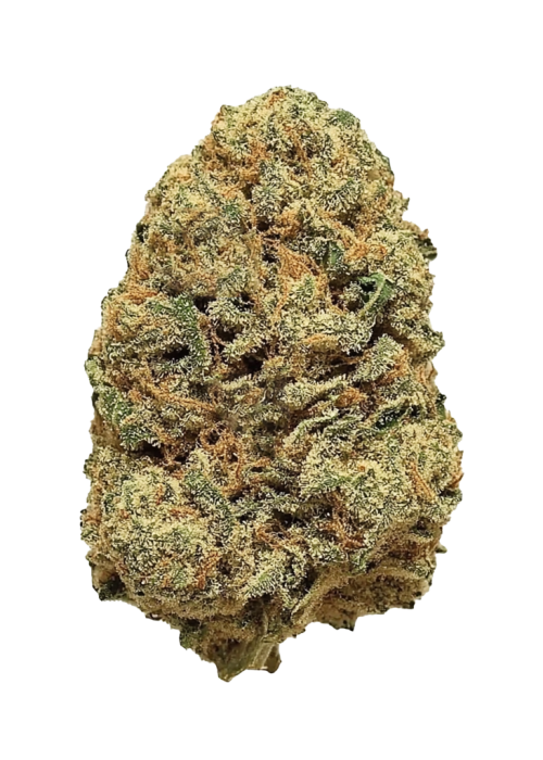 Black Widow