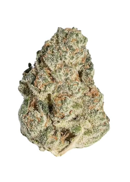 Peach Crescendo F-1