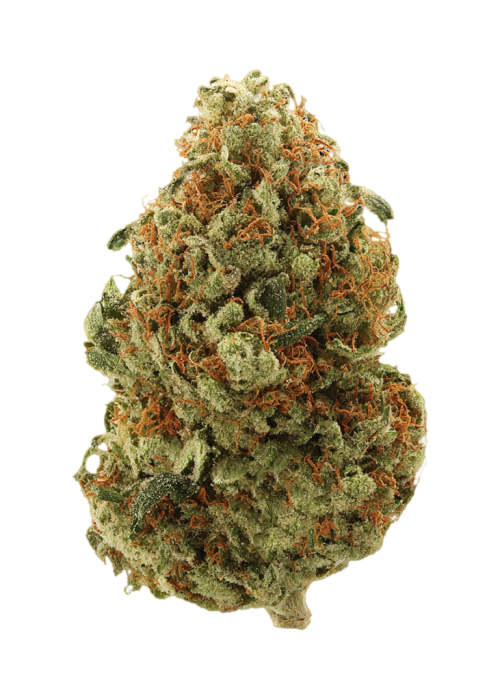 Tora Bora