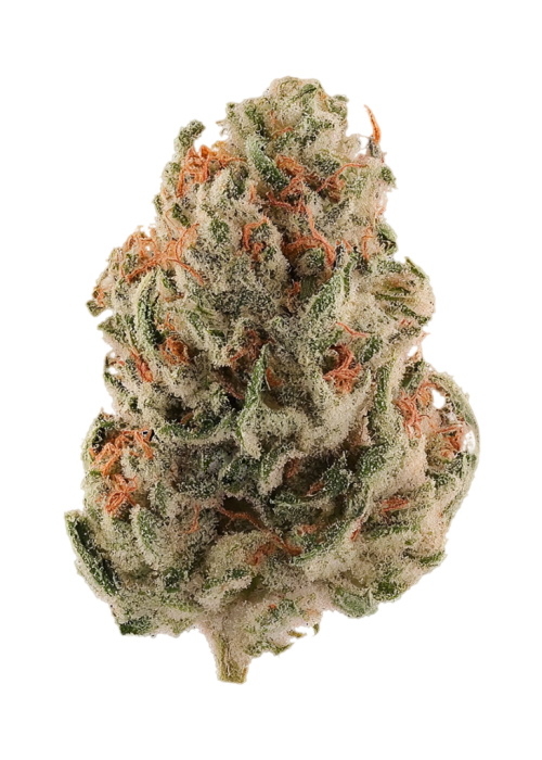 Golden Strawberry