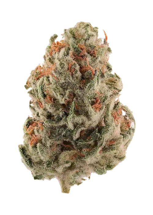 Golden Strawberry