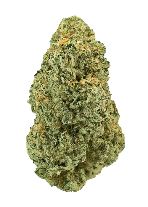 Tomahawk