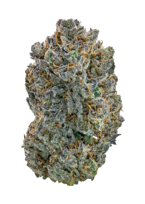 Vanilla Berry Pie