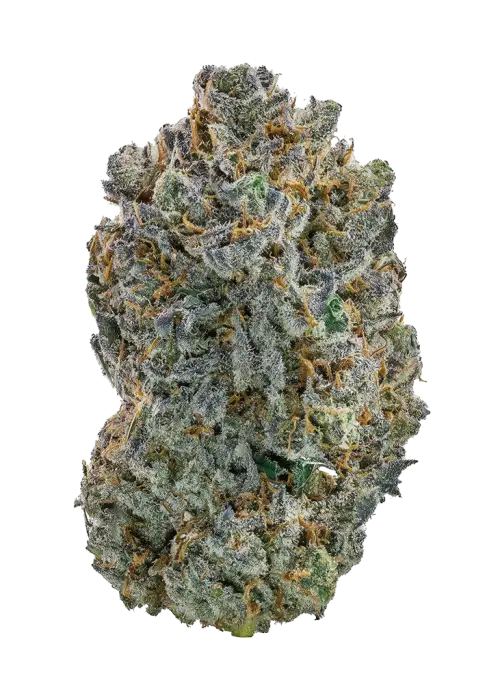 Vanilla Berry Pie