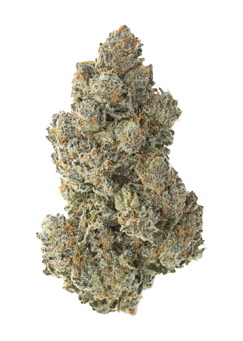 OG Chem